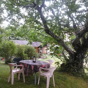L'appel De La Forêt Betplan
